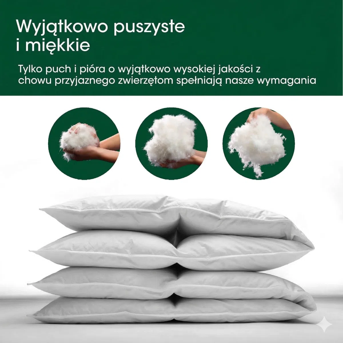 Premium de Luxe kołdra puchowa 200 x 220 cm – bardzo lekka/letnia – Made in Germany kołdra kasetowa ze 100% bawełny – odpowiednia dla alergików